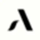 Bottes Anfibio